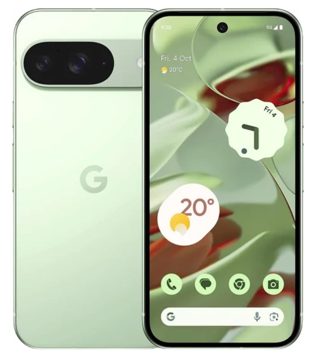 Google Pixel 9 12GB/256GB Винтергрин
